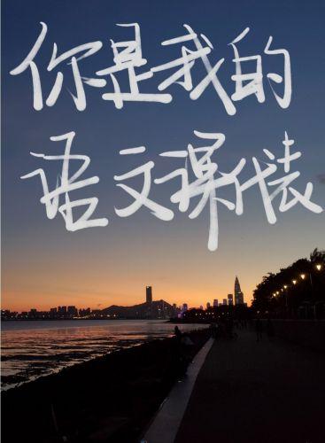 You are my Chinese class representative