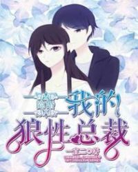 Hidden marriage, my wolfish president